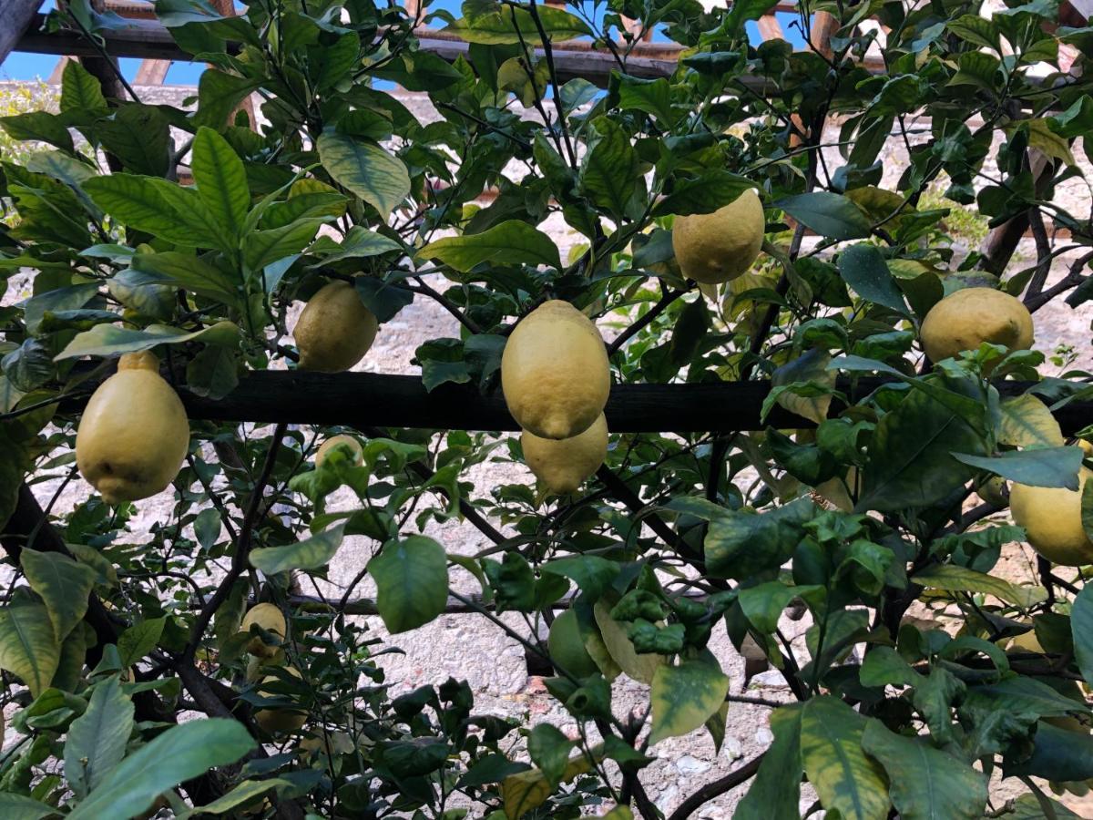 Appartamento Trentino II Comano Terme Luaran gambar